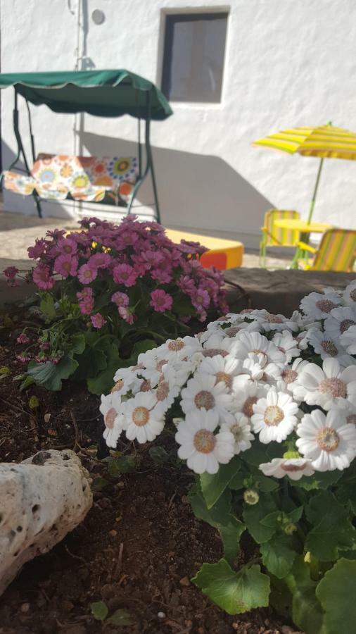 فيلا Trullo Amicizia ألبيروبيللو المظهر الخارجي الصورة