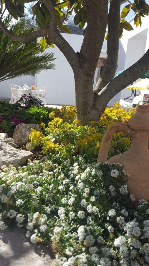 فيلا Trullo Amicizia ألبيروبيللو المظهر الخارجي الصورة